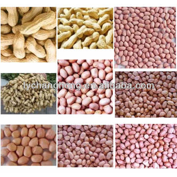 China peanut/China red skin peanut for hot sale